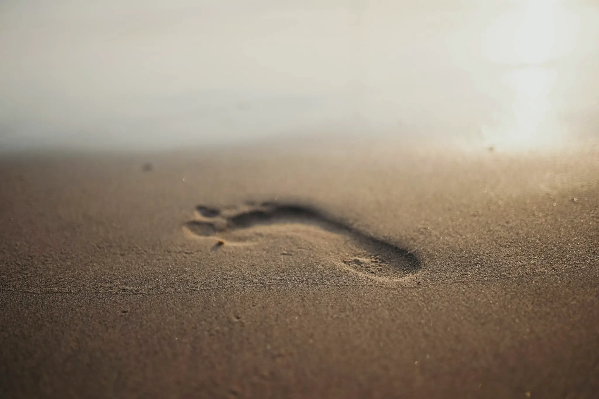 A single footprint pressed into wet sand, suggesting the beginning of forward movement.